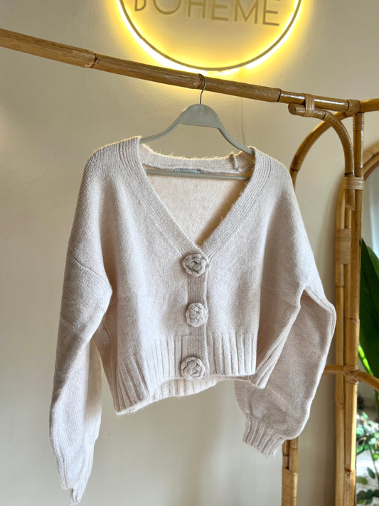 Beige Roses Cardigan